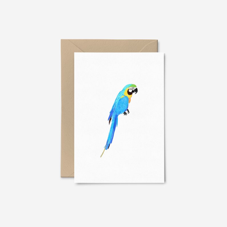 794x794 parrot card tropical bird card macaw card bird thank you etsy
