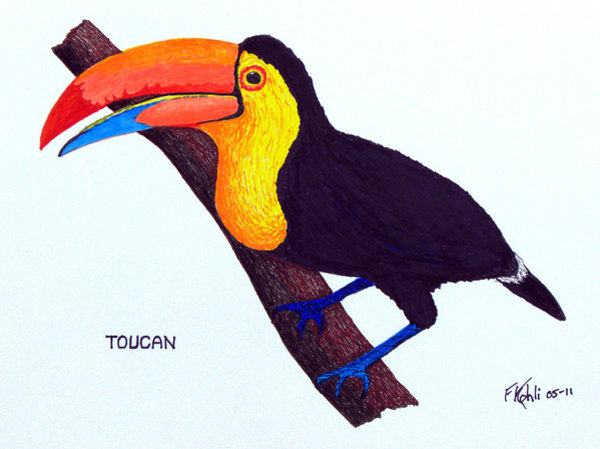 600x449 Tropical Bird Drawings