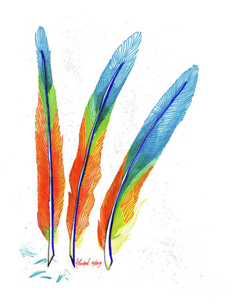 471x600 Tropical Bird Drawings