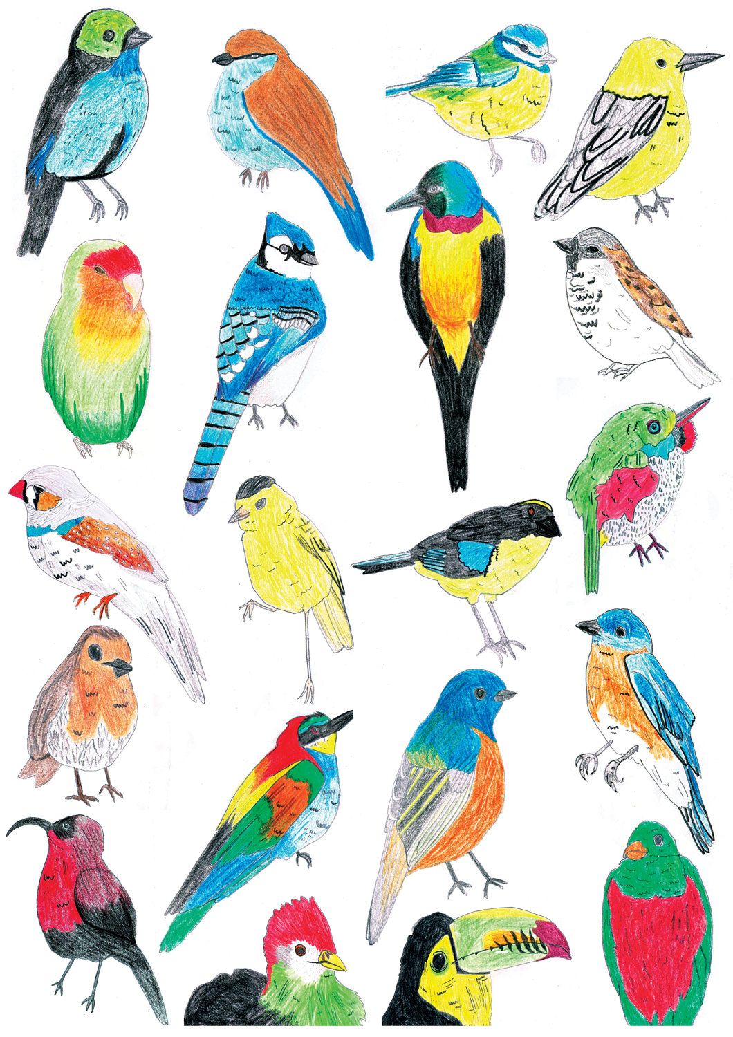 1060x1500 Tropical Bird Illustration Card Via Etsy Illustrations