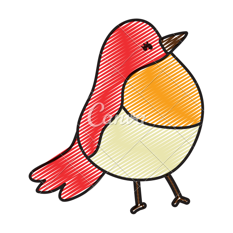 800x800 Doodle Beauty Tropical Bird Exotic Animal