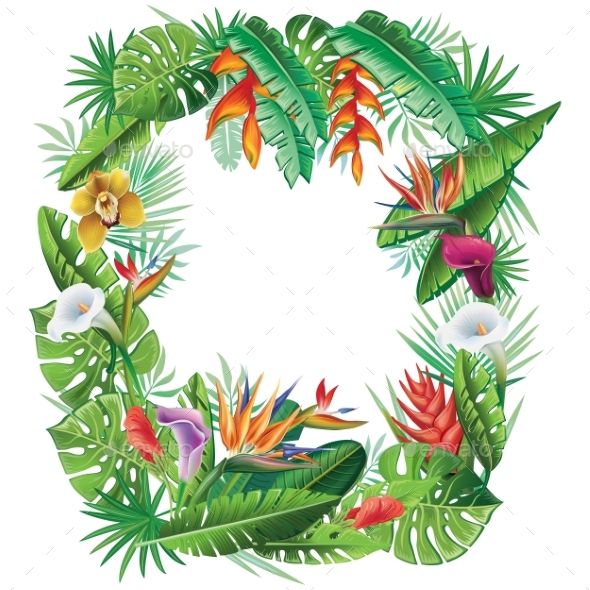 590x590 Frame From Tropical Plants And Flowers