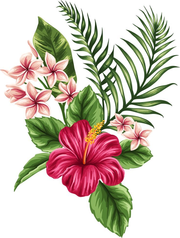 736x971 Inked! In Hawaiian Flower Tattoos