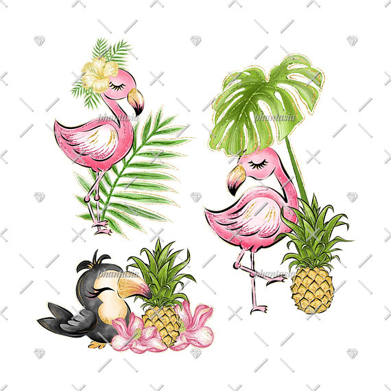570x570 Tropical Cliparts, Flamingo Illustration, Exotic Stickers, Toucan