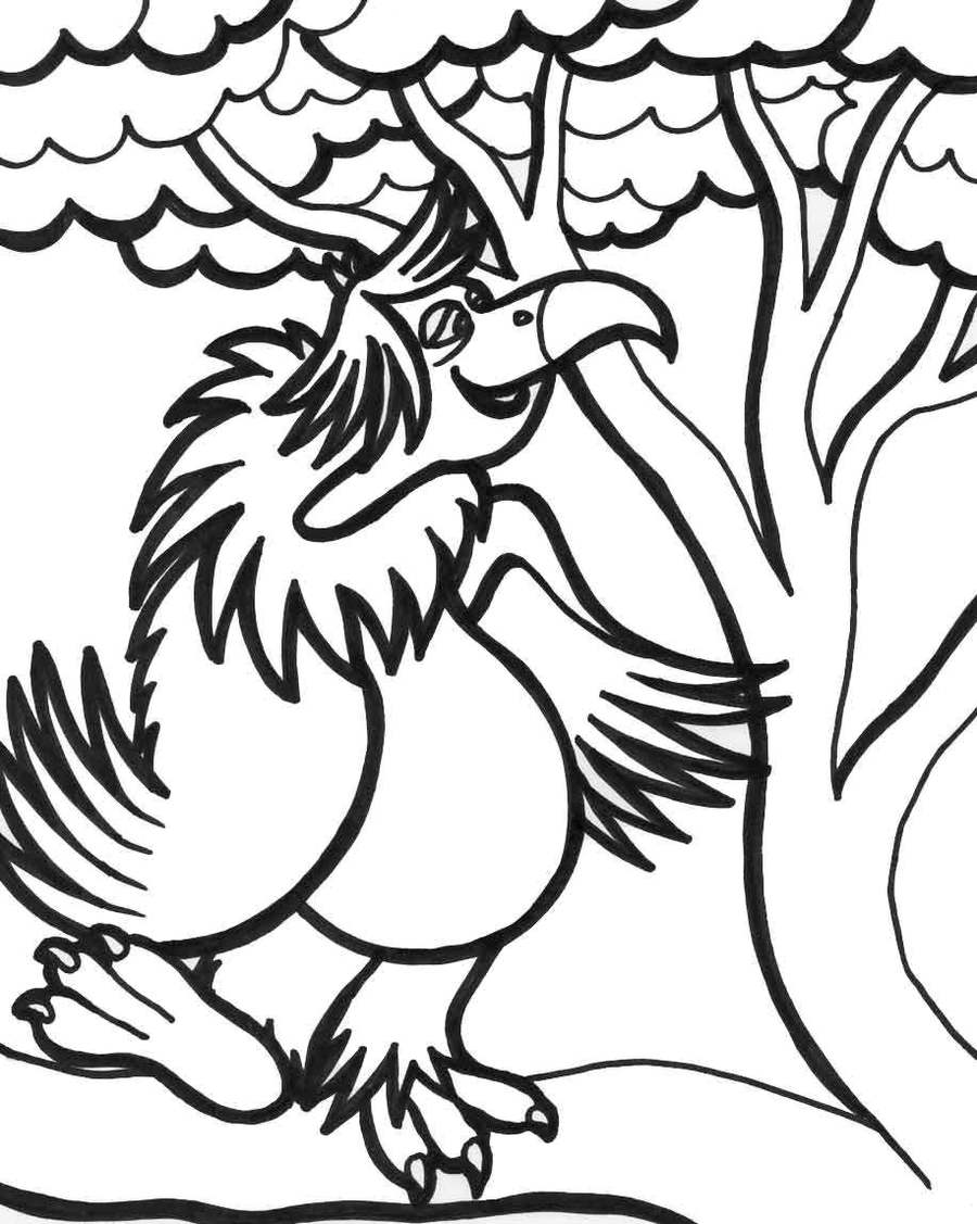 900x1127 Tropical Rainforest Flowers Drawings