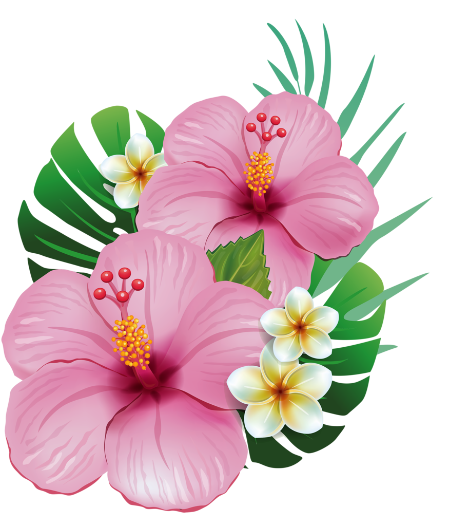 875x1024 Tropical Flower Drawing Pictures And Cliparts, Download Free