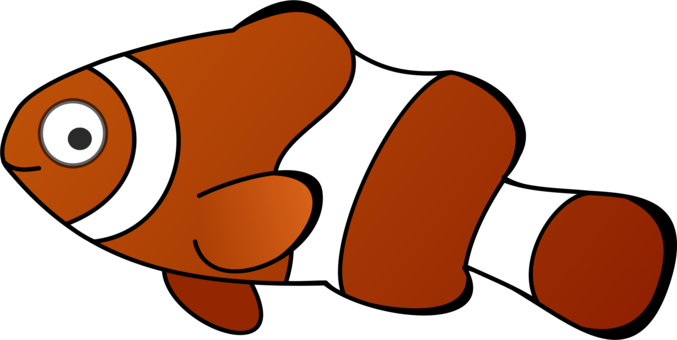 677x340 Collection Of Free Clownfish Drawing Tropical Fish Download On Ui Ex