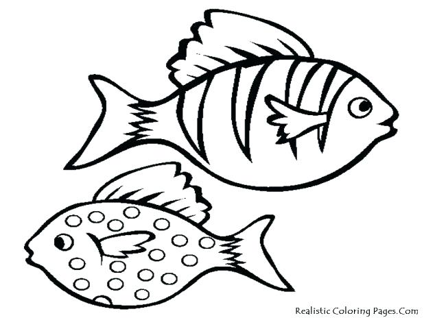 618x464 Fish Clip Art Coloring Pages Tropical Drawing At Free For Personal