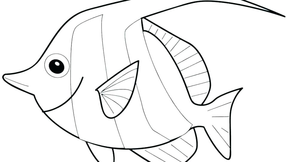 960x544 Fish Coloring