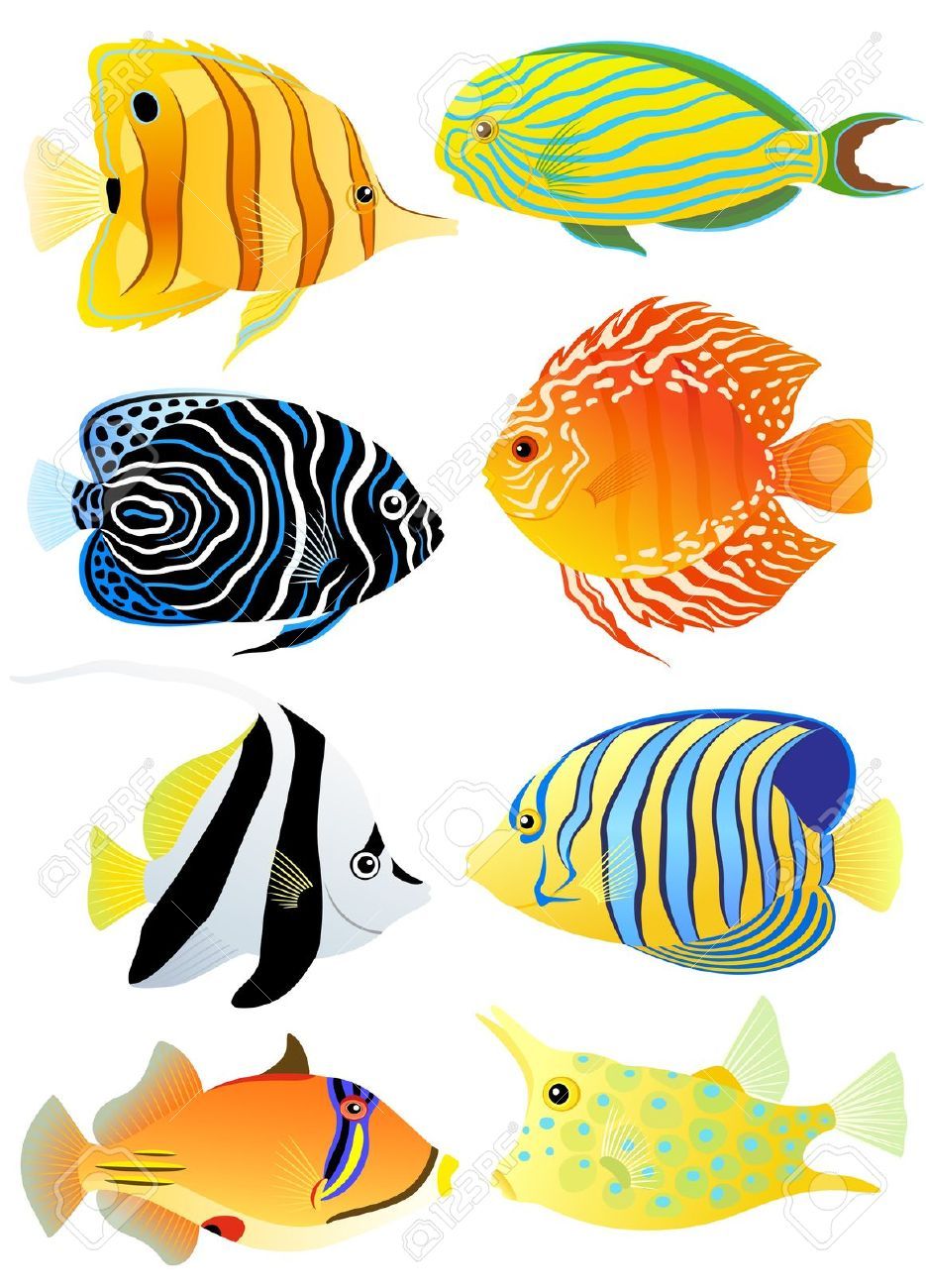 935x1300 Good To Know!!! Fische, Fisch Bilder