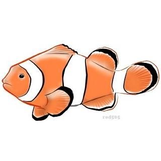 320x320 Tropical Fish Coloring