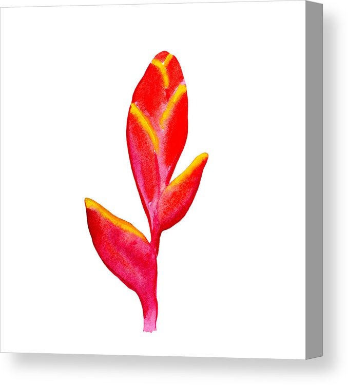 678x750 Heliconia Red And Yellow Tropical Flower Watercolor Clipart