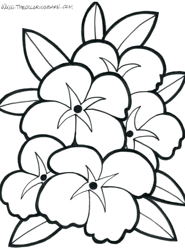 640x856 Tropical Flower Coloring Pages