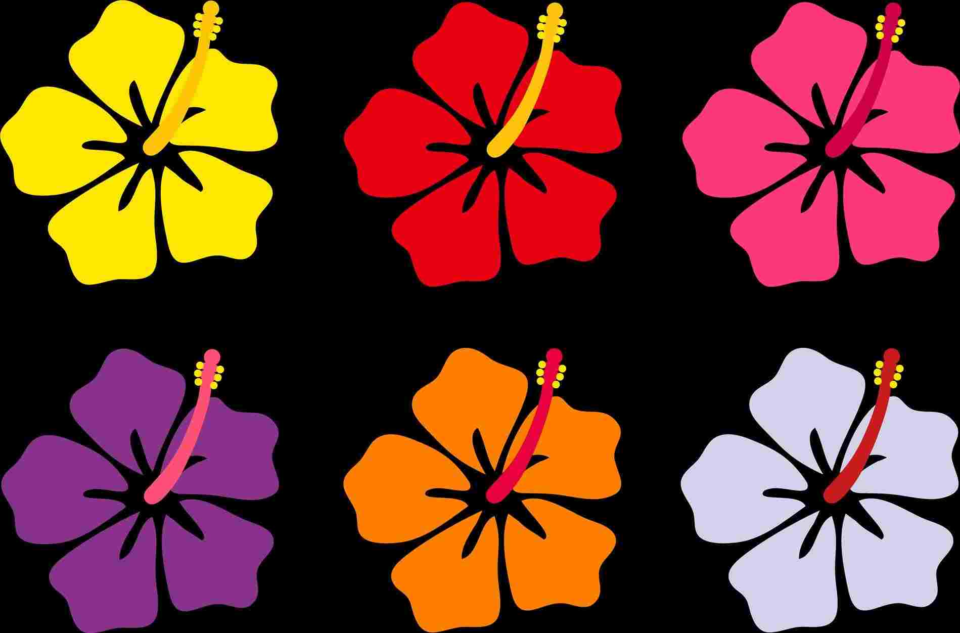 1899x1252 Tropical Flower Hawaiian Flower Drawing
