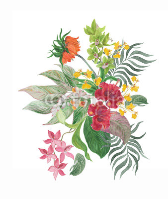 338x400 Colorful Floral Collection With Leaves And Tropical Flowers