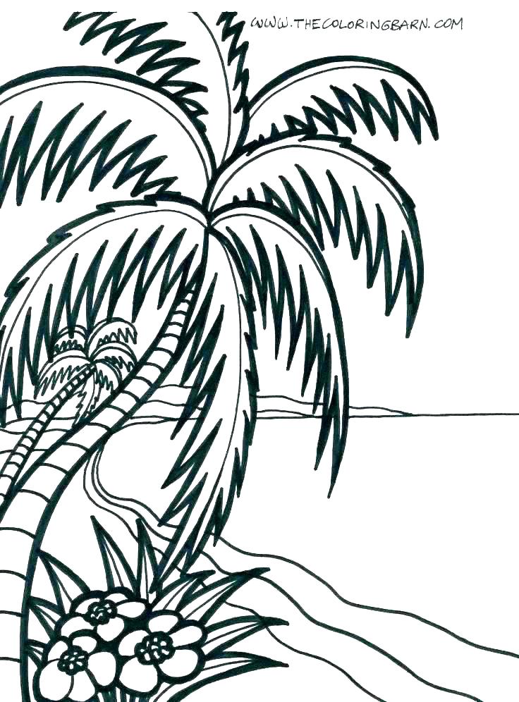 736x996 tropical coloring pages island coloring pages tropical island
