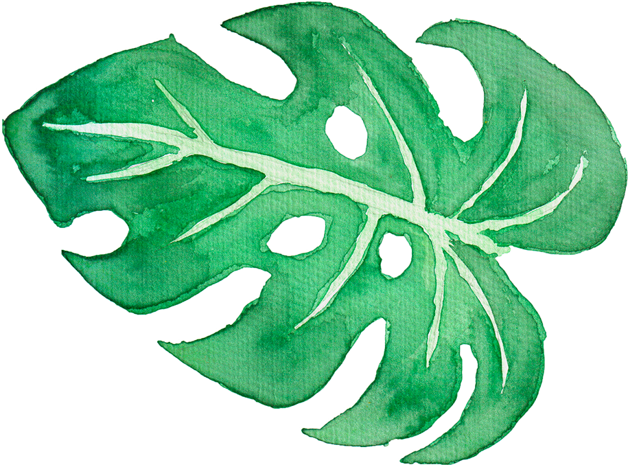 915x677 Tropical Clipart Tropical Leave