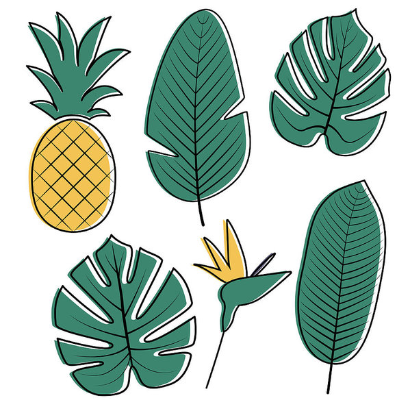 599x600 Tropical Leaves Collection Vector Illustration Art Print