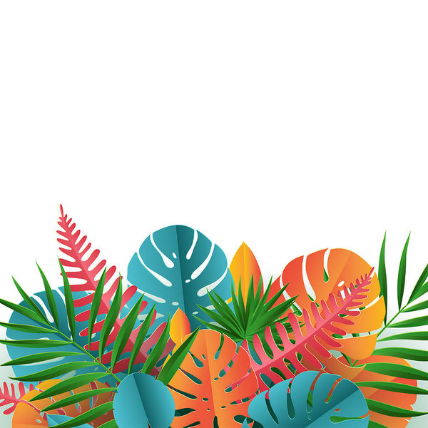 600x600 Tropical Paper Palm, Monstera Leaves Frame Summer Tropical Leaf