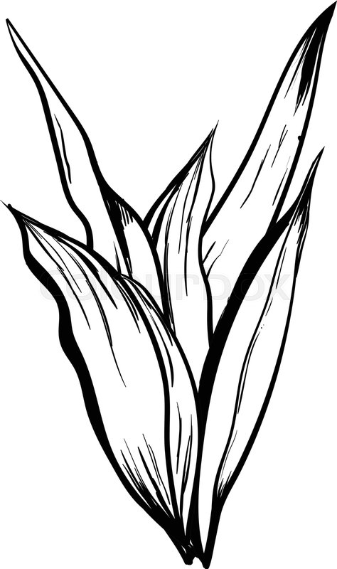 474x800 Tropical Leaves, Dense Jungle Hand Stock Vector Colourbox