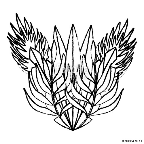 500x500 Grunge Natural Plants Tropical Leaves Design Stock Image