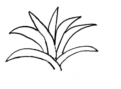 416x309 life science lesson plans plants hanging tough share my lesson