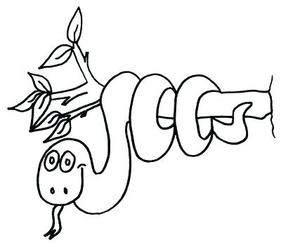 400x352 Rainforest Animal Coloring Pages Animal Coloring Pages Animals