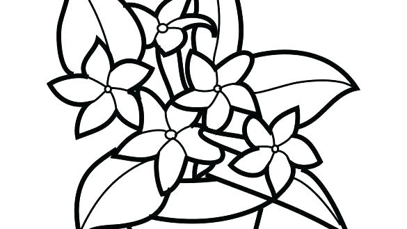 585x329 Rainforest Plants Coloring Pages Tropical Plants Coloring Pages