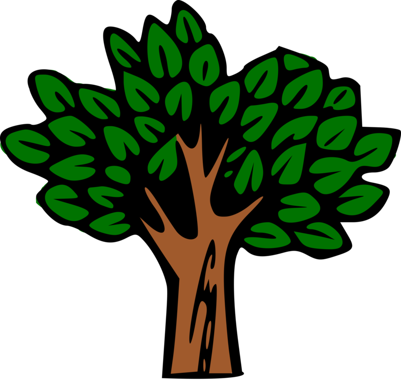 787x750 Rotate Resize Tool Rainforest Drawing Swamp Forest