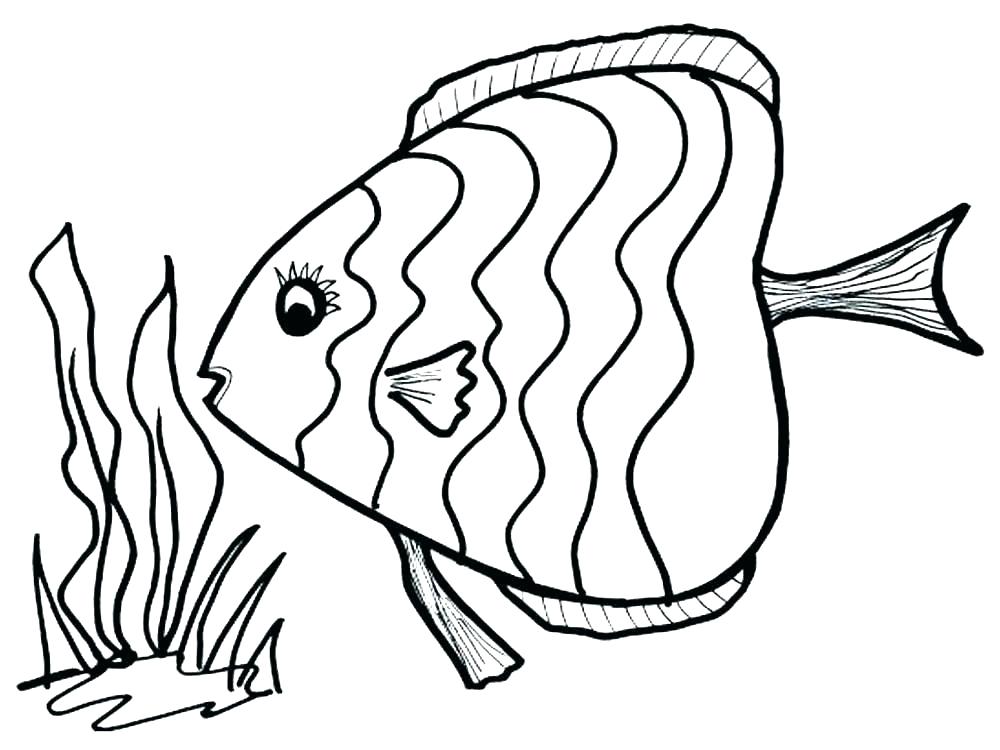 1000x750 tropical coloring pages tropical fish coloring pages free