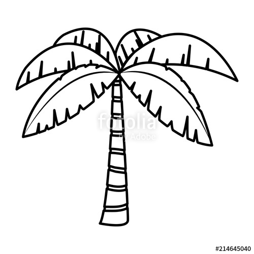 500x500 Line Exotic Palm With Tropical Tree Leaves Stock Image