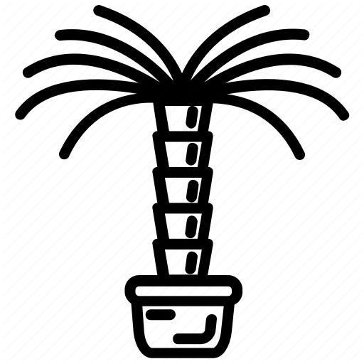 512x512 beach tree, date plant, nature, palm tree, tropical tree icon