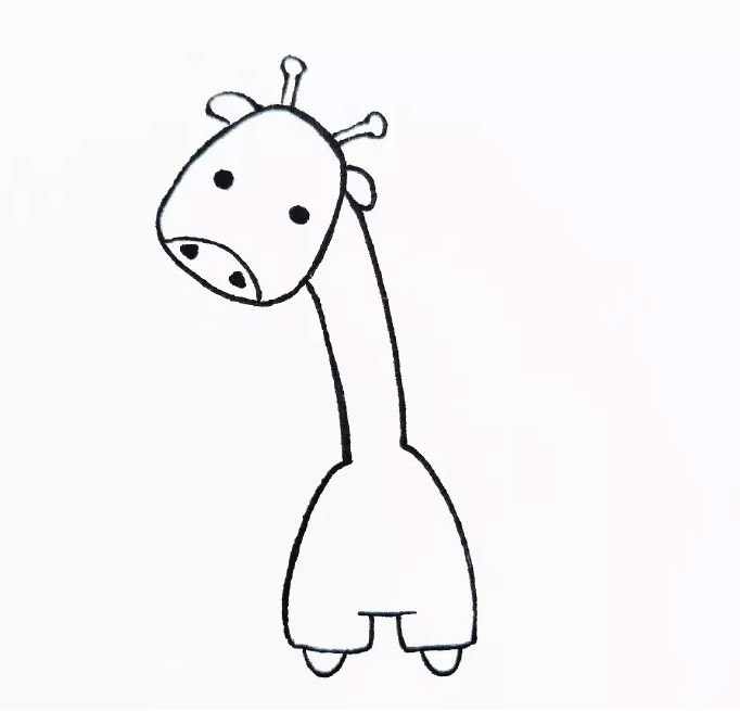 682x655 the giraffe in blue belt trousers