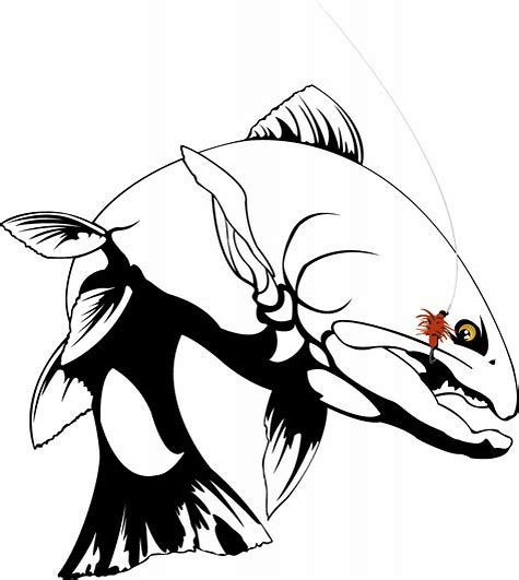 475x531 Image Result For Trout Drawing Outline Cutthroat Fishing Tattoos