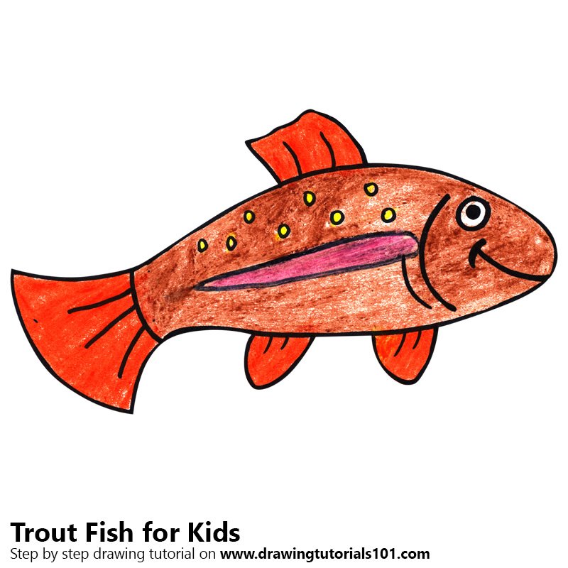 800x800 Learn How To Draw A Trout Fish For Kids