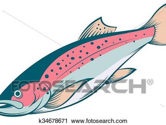 640x480 Trout Clipart Line Drawing