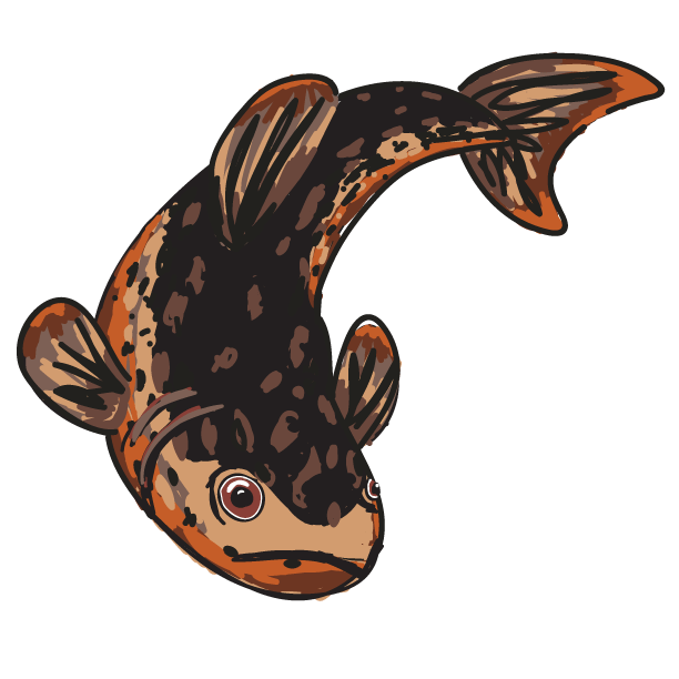 612x612 Drawing Steven Selby Art