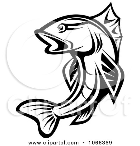 450x470 Clipart Black And White Trout