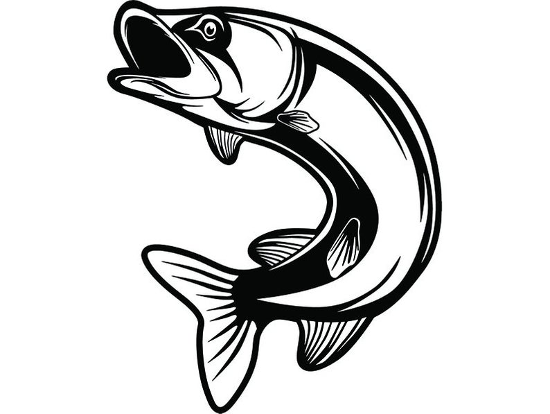 794x597 Trout Fish Fly Fisherman Fresh Water River Fishing Etsy