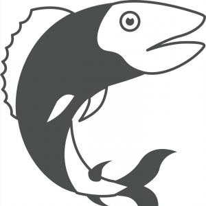 300x300 Trout Tuna Catch Fish Fishing Jump Silhouette Black Soidergi