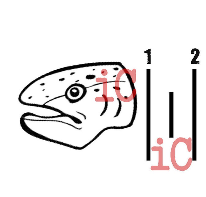 794x761 Dxf Trout Eat Sleep Fish With Ruler Etsy
