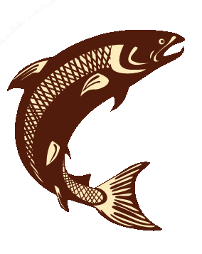 Trout Fish Drawing | Free download on ClipArtMag