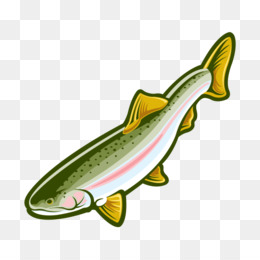 260x260 Rainbow Trout Png