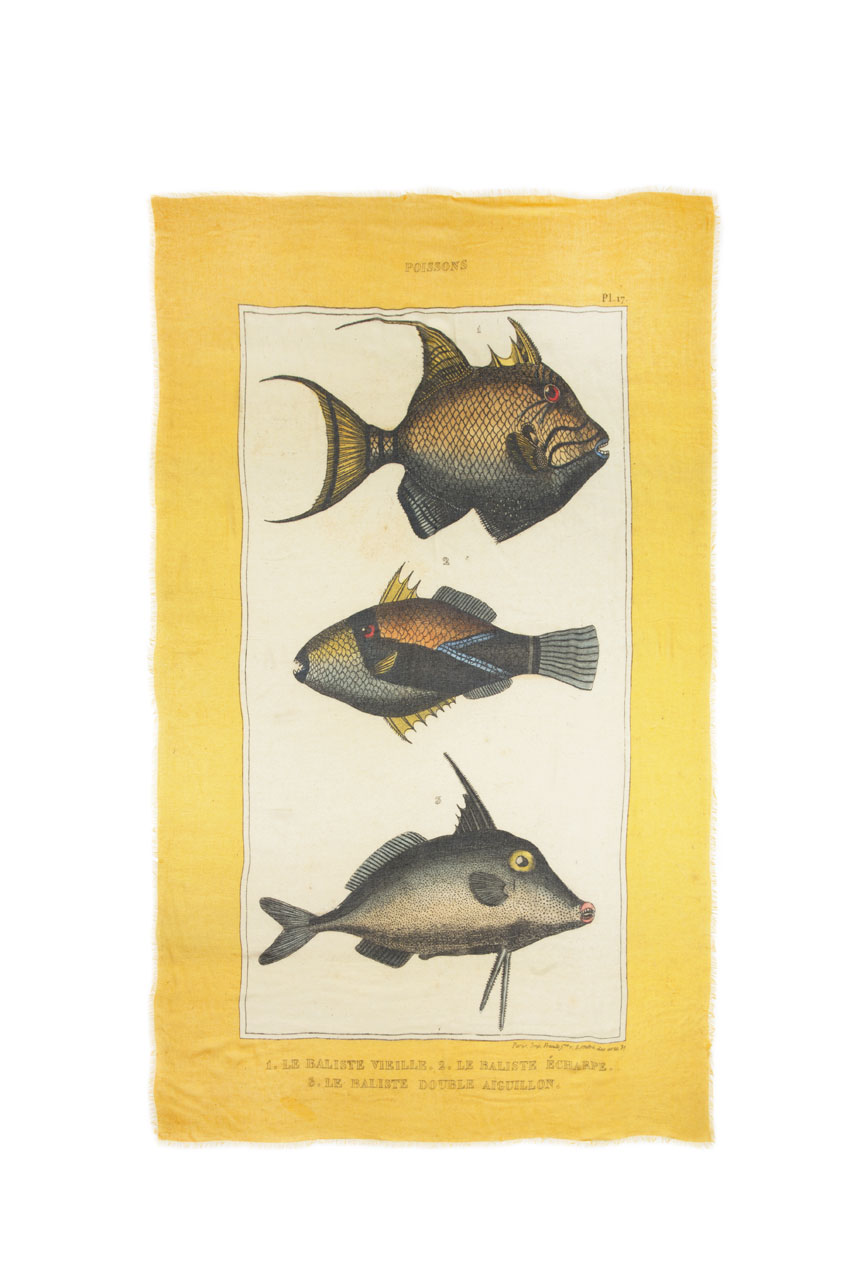 850x1276 Vintage Fish Drawing Yellow Border Linda V Wright