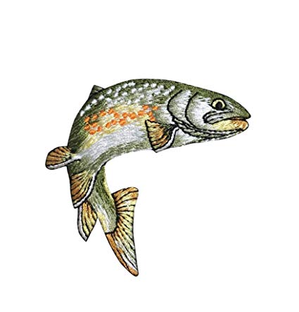 425x443 Golden Trout