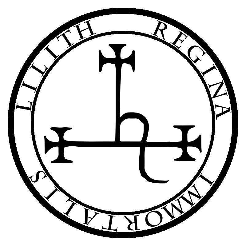 800x800 eleven thousand nights