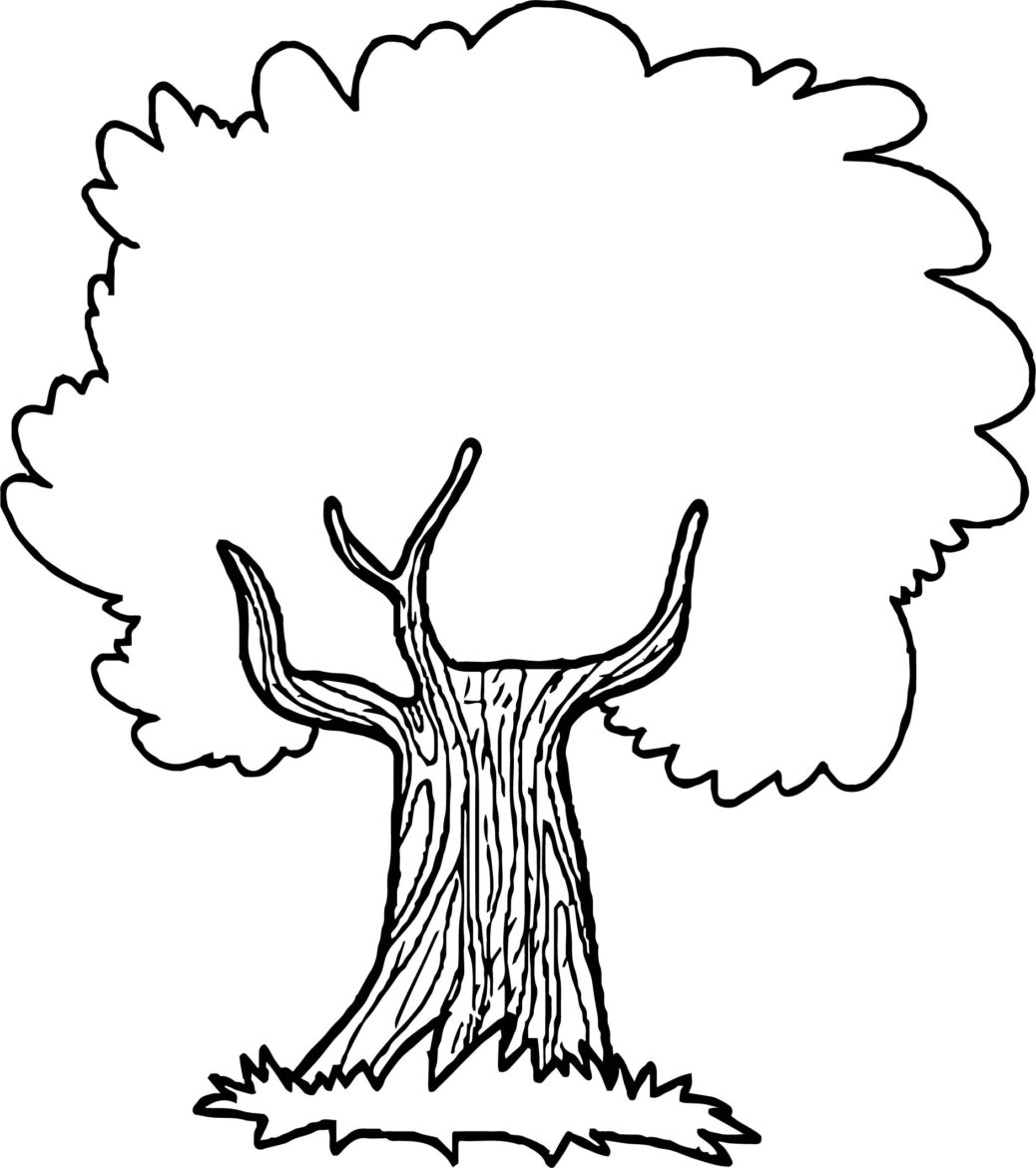 1038x1170 Apple Tree Line Drawing For Personal Use Coloring Book