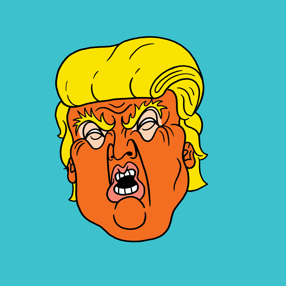 1200x1200 Definitely Not Trump