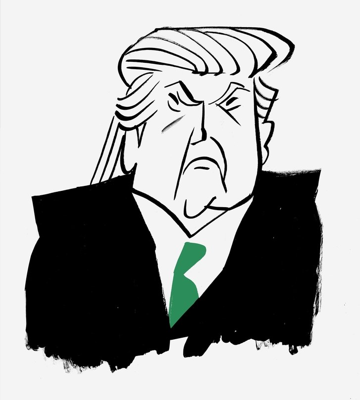 727x809 The Midterm Elections Are A Referendum On Donald Trump The New