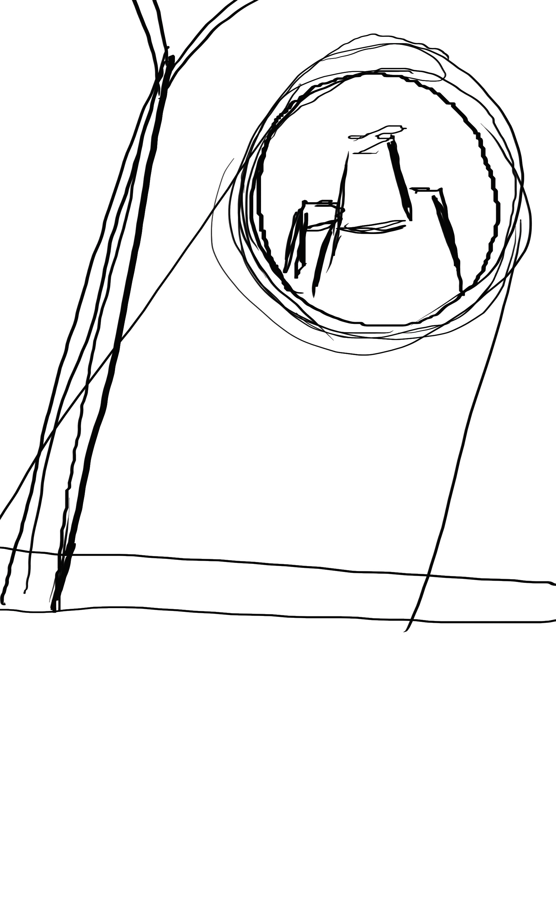 1783x2942 Yoni Salmon